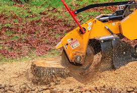 Best Storm Damage Tree Cleanup  in Hollis, OK