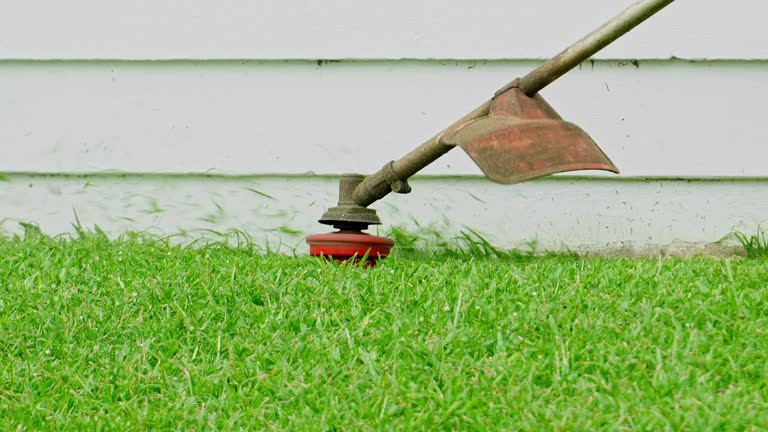 Best Commercial Tree Services  in Hollis, OK