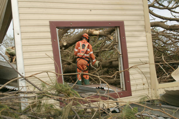 Best Tree Preservation Services  in Hollis, OK